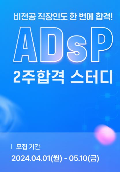 ADsP 자격증 2주 합격 스터디 