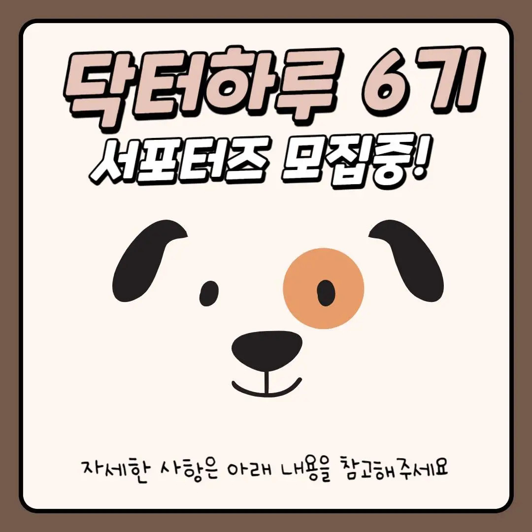 닥터하루 6기 서포터즈 모집 