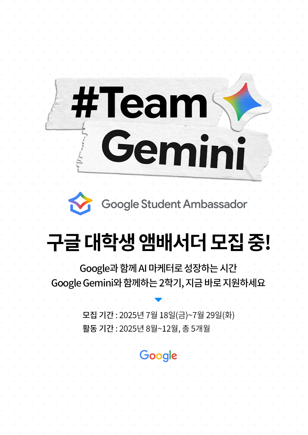 Google Student Ambassador 모집