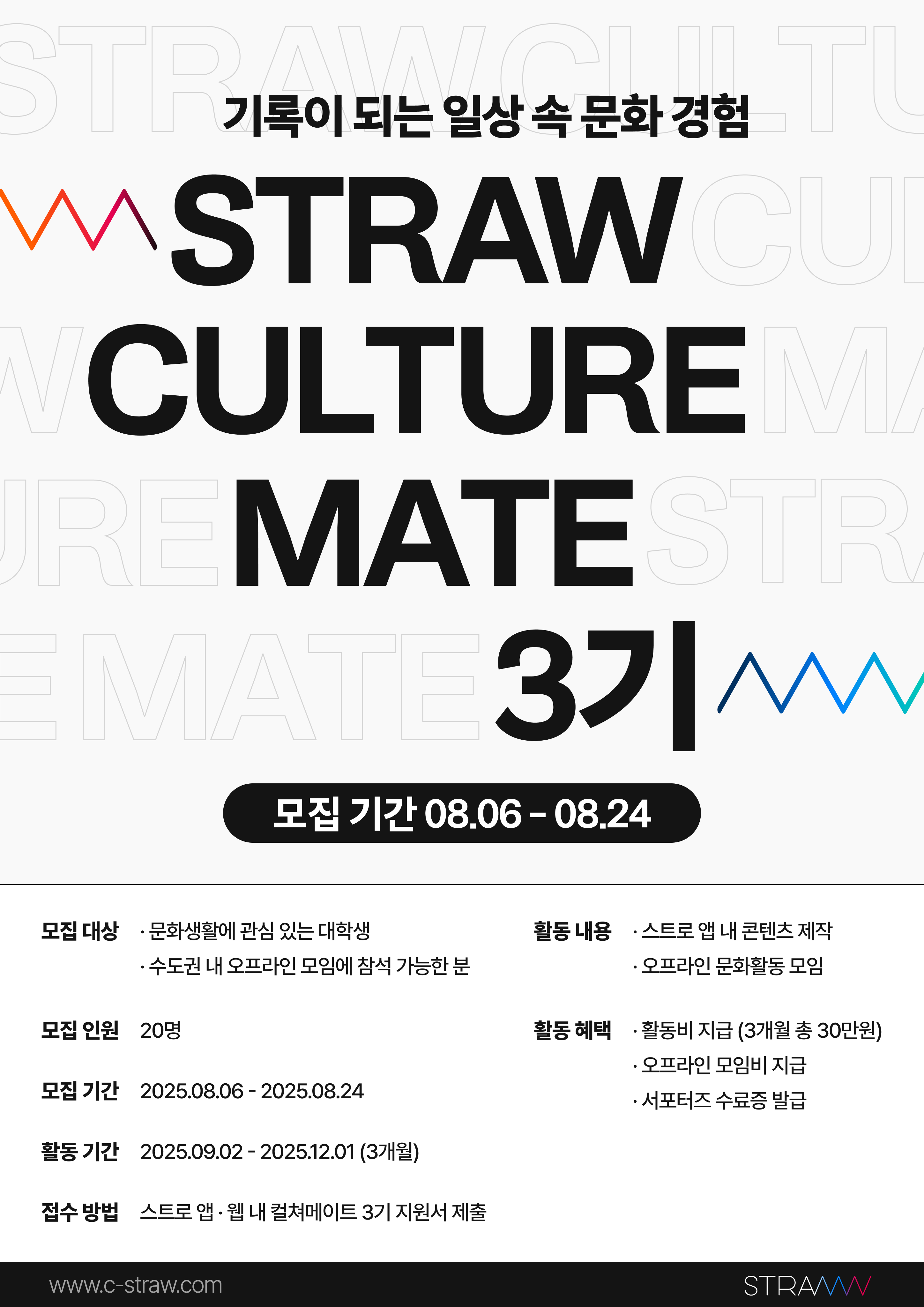 스트로 컬쳐메이트 3기 모집